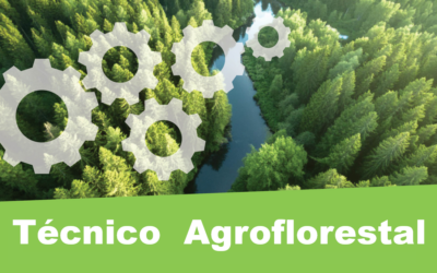 Técnico Agroflorestal (M/F)