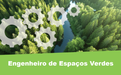 Engenheiro de Espaços Verdes