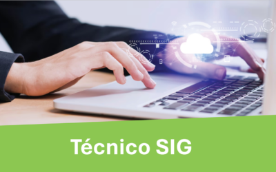 Técnico SIG