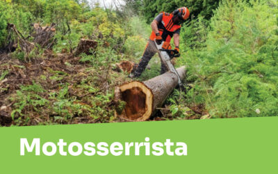 Motosserrista